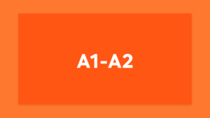 Kurs Języka Niemieckiego A1-A2